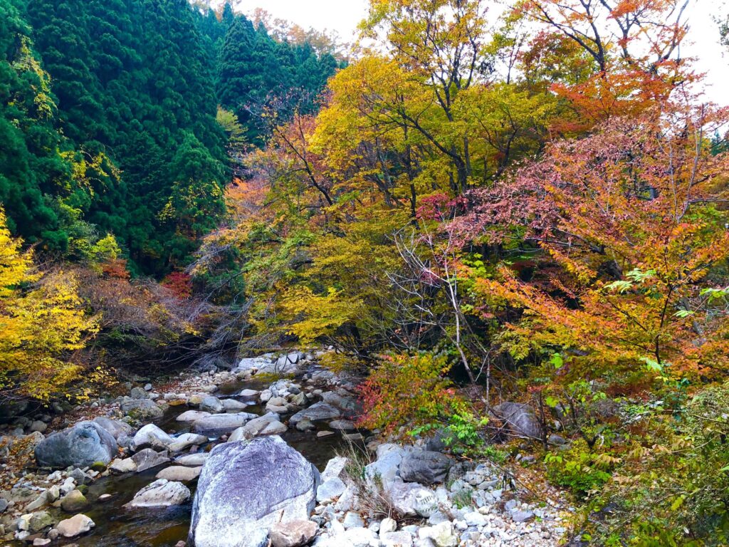 芦津渓谷紅葉