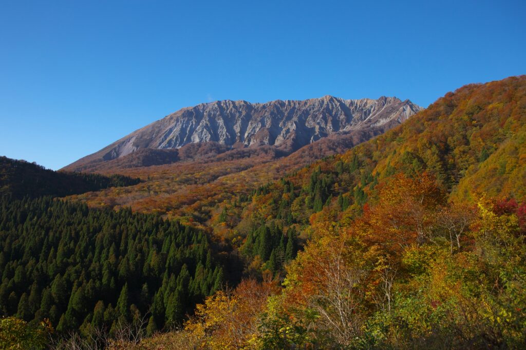 大山紅葉